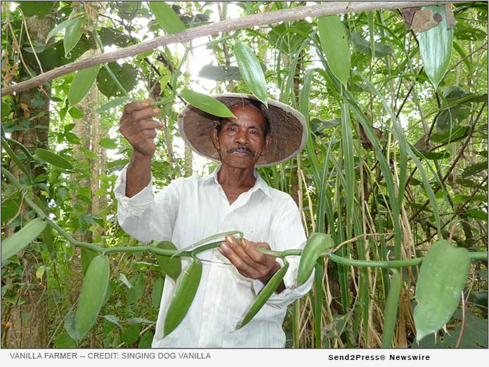 Foodies and Foodservice Celebrate Vanilla Prices Coming Back Down to Earth After Years of Record Highs - Vimarsana News