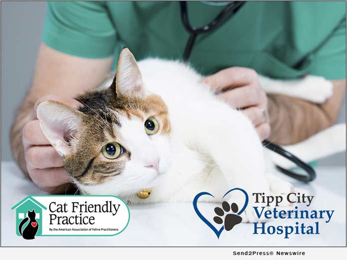 Tipp City Ohio Veterinary Hospital Raises the Bar in Feline Care for Local Cat Caregivers as A Cat Friendly Practice - Vimarsana News