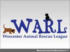 Worcester Animal Rescue League