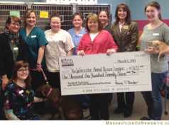 $1,177 for Worcester Animal Rescue League