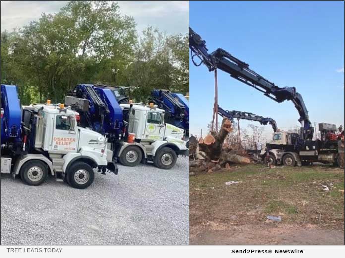 Remote Control Grapplesaw Crane Lease Model Innovator Partners with Tree Leads Today - Vimarsana News