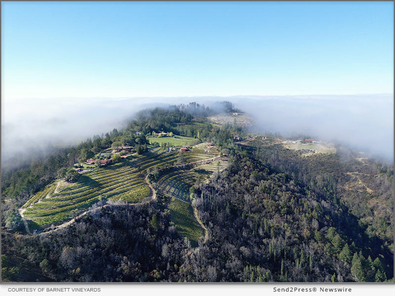 Napa Valley's Barnett Vineyards Celebrates their 40th Anniversary - Vimarsana News