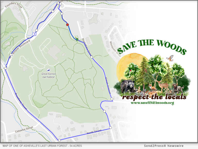Wrap the Woods Pop-up Art Installation to Save One of Asheville NC’s Last Remaining Urban Forests