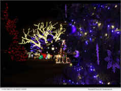 Christmas at Schnepf Farms Returns with Its Biggest Holiday Experience Yet for 2025 in Arizona