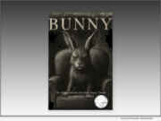 New book, ‘Bunny, The Hidden Record’ by Her Majesty of Ink and Exit Wounds draws rare convergent praise